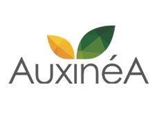 logo_auxinea